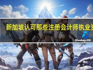 新加坡认可那些注册会计师执业资格