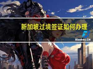 新加坡过境签证如何办理