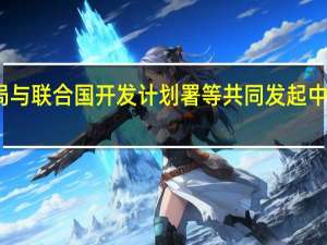 新加坡金管局与联合国开发计划署等共同发起中小微企业融资倡议