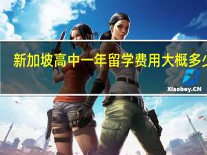 新加坡高中一年留学费用大概多少呢