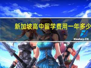 新加坡高中留学费用一年多少