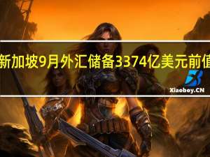 新加坡9月外汇储备 3374亿美元前值3372.5亿美元