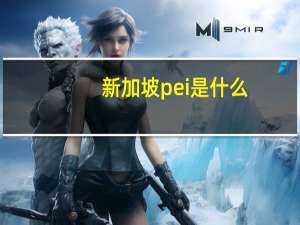 新加坡pei是什么