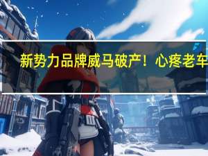新势力品牌威马破产！心疼老车主：智能车体验缩水