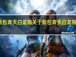 新包青天白龙驹 关于新包青天白龙驹的介绍
