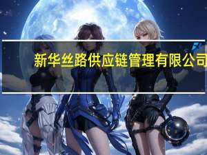 新华丝路供应链管理有限公司（新华丝路数据库有何作用）