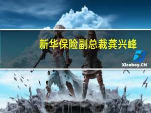 新华保险副总裁龚兴峰：公司将坚守银保渠道定位 强化合作模式创新
