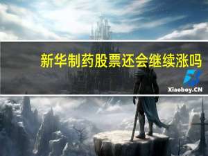 新华制药股票还会继续涨吗