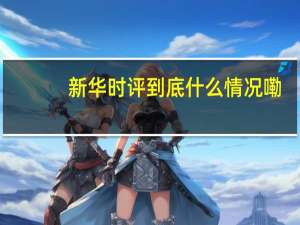 新华时评 到底什么情况嘞