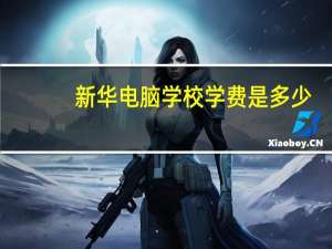 新华电脑学校学费是多少
