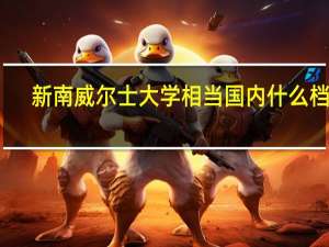 新南威尔士大学相当国内什么档次