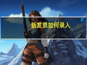 新发票如何录入
