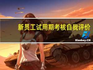 新员工试用期考核自我评价