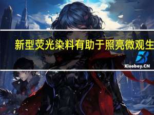 新型荧光染料有助于照亮微观生命