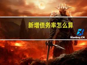 新增债务率怎么算