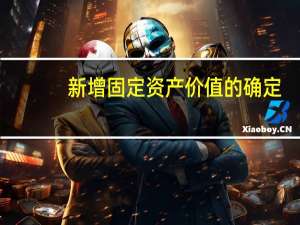 新增固定资产价值的确定