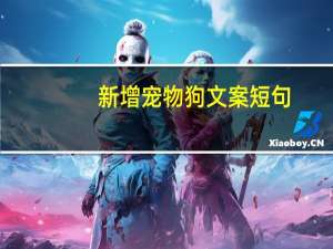 新增宠物狗文案短句