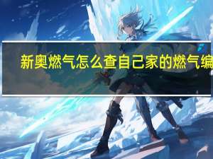 新奥燃气怎么查自己家的燃气编号
