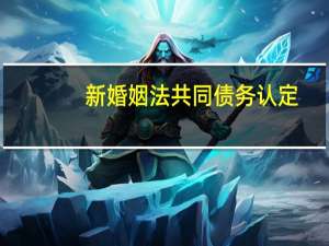 新婚姻法共同债务认定