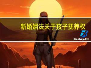 新婚姻法关于孩子抚养权