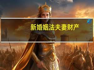 新婚姻法夫妻财产