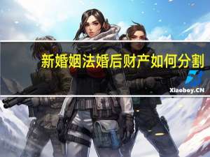 新婚姻法婚后财产如何分割