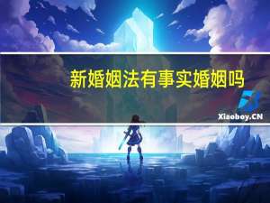 新婚姻法有事实婚姻吗