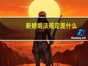 新婚姻法规定是什么