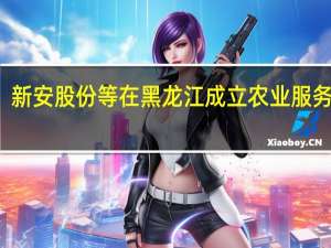 新安股份等在黑龙江成立农业服务公司