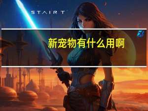 新宠物有什么用啊