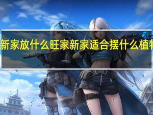 新家放什么旺家 新家适合摆什么植物旺家