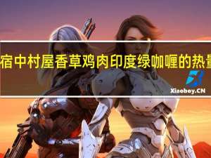 新宿中村屋 香草鸡肉印度绿咖喱的热量是多少