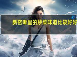 新密哪里的炒菜味道比较好好