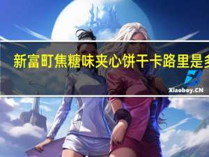 新富町 焦糖味夹心饼干卡路里是多少