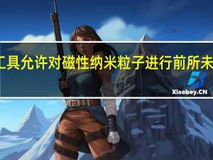 新工具允许对磁性纳米粒子进行前所未有的建模