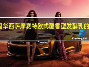 新希望 华西 萨摩赛特欧式酪香型发酵乳的热量是多少
