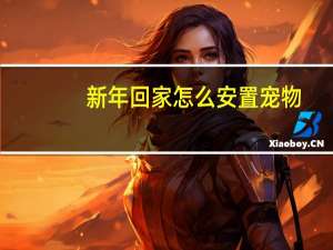 新年回家怎么安置宠物