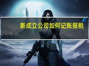 新成立公司如何记账报税（新成立公司如何做账）