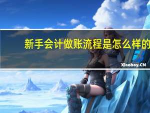 新手会计做账流程是怎么样的