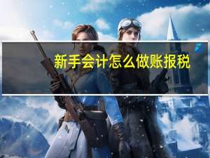 新手会计怎么做账报税（新手会计怎么做账）