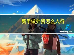 新手做外贸怎么入行