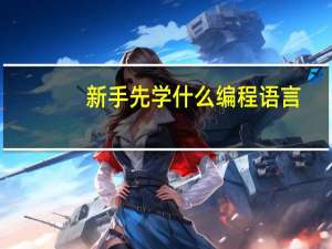 新手先学什么编程语言