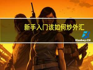 新手入门该如何炒外汇