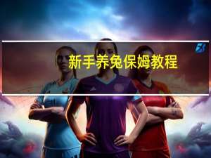 新手养兔保姆教程（兔保姆饲料简介）