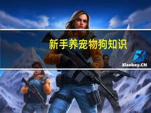 新手养宠物狗知识