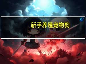 新手养殖宠物狗