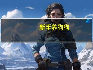新手养狗狗