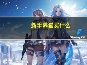 新手养猫买什么