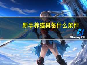 新手养猫具备什么条件