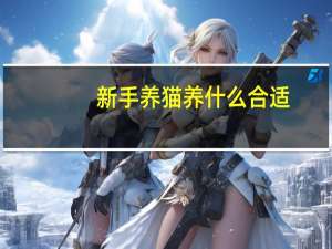 新手养猫养什么合适